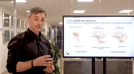 Neuroplasticita_Lezione02